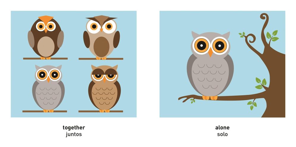 My First Bilingual Book-Opposites (English-Spanish)