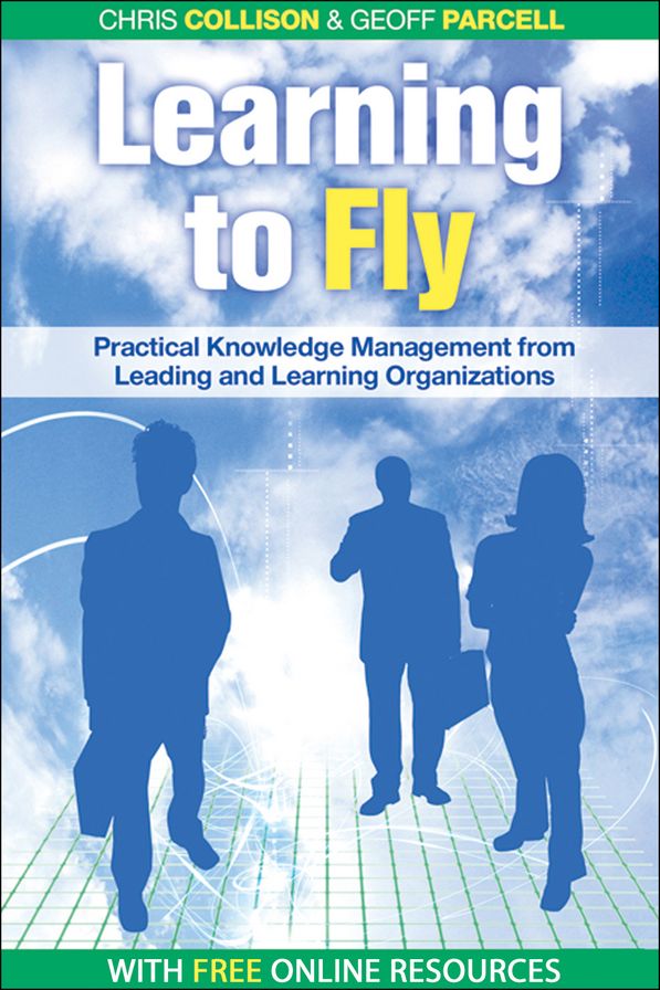 Learning to Fly: Practical Lessons from Some of the World's Leading Knowledge Companies