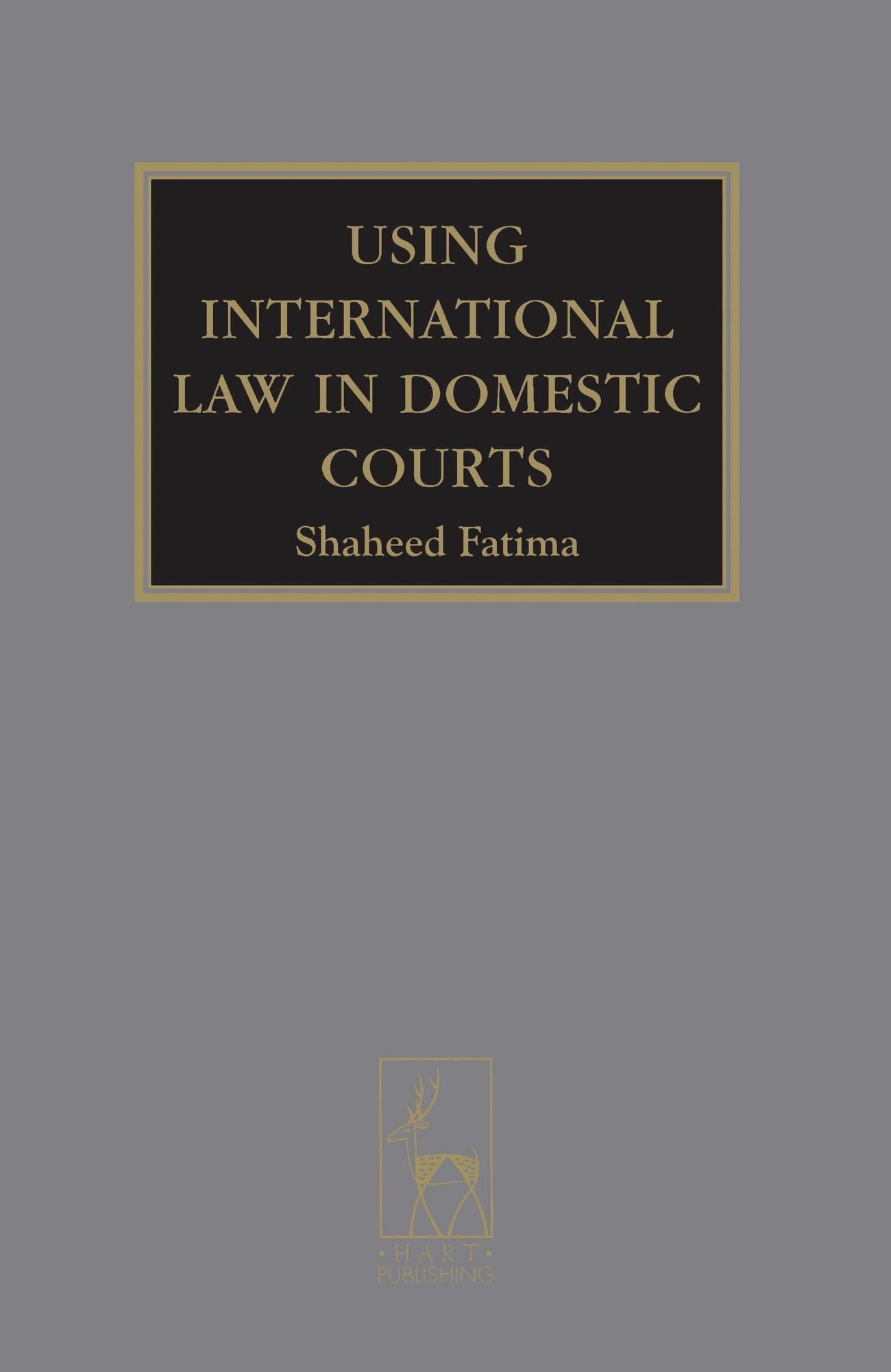 Using International Law In Domestic Courts