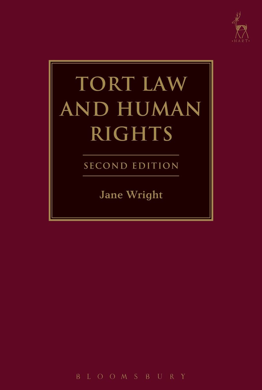 Tort Law and Human Rights: Second Edition