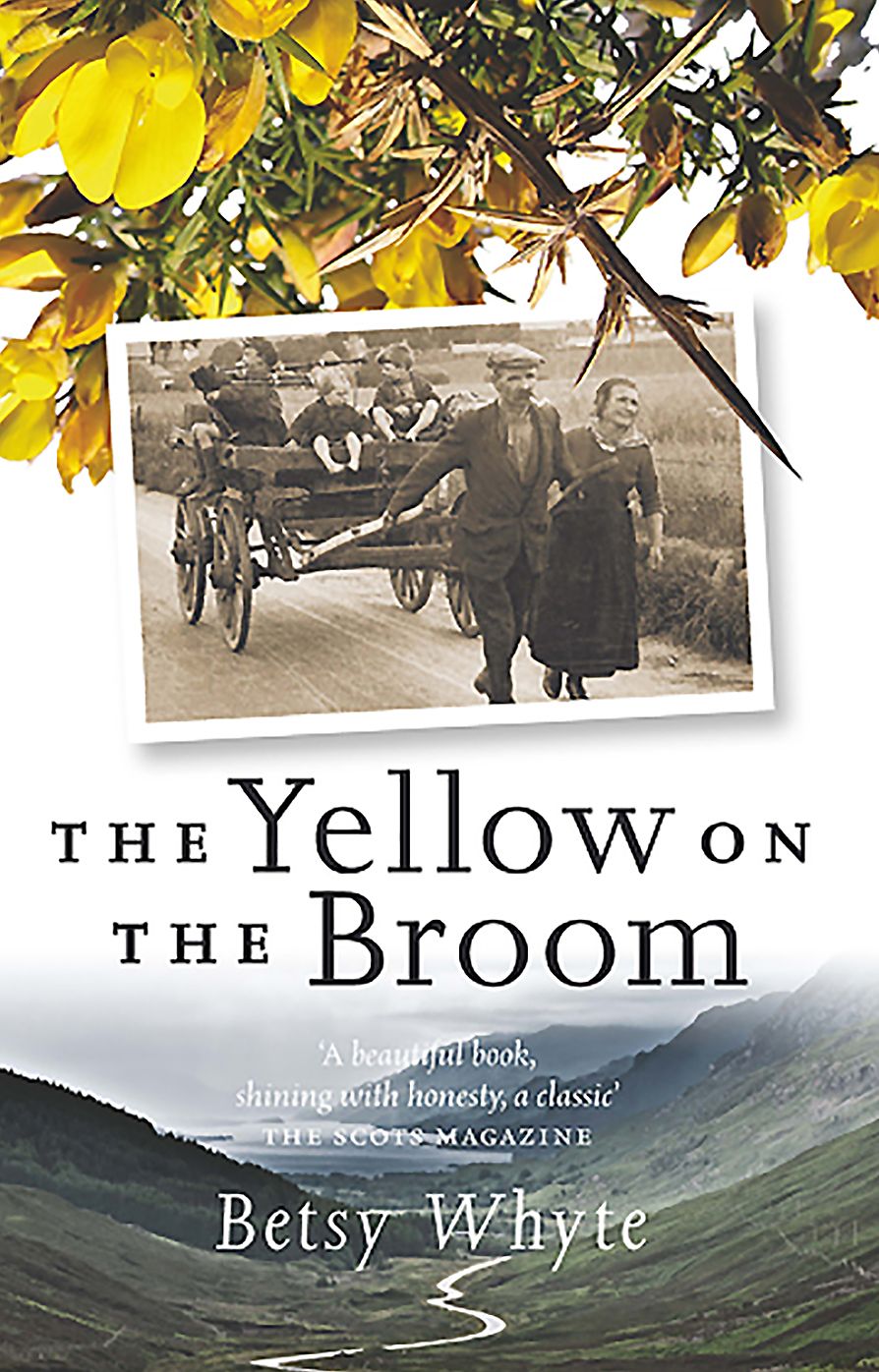 The Yellow on the Broom