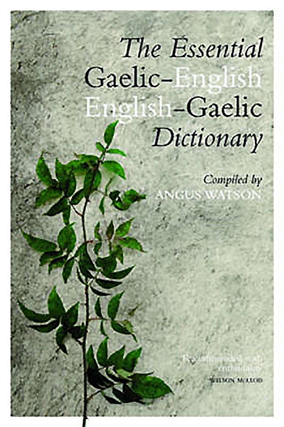 The Essential Gaelic-English/English-Gaelic Dictionary
