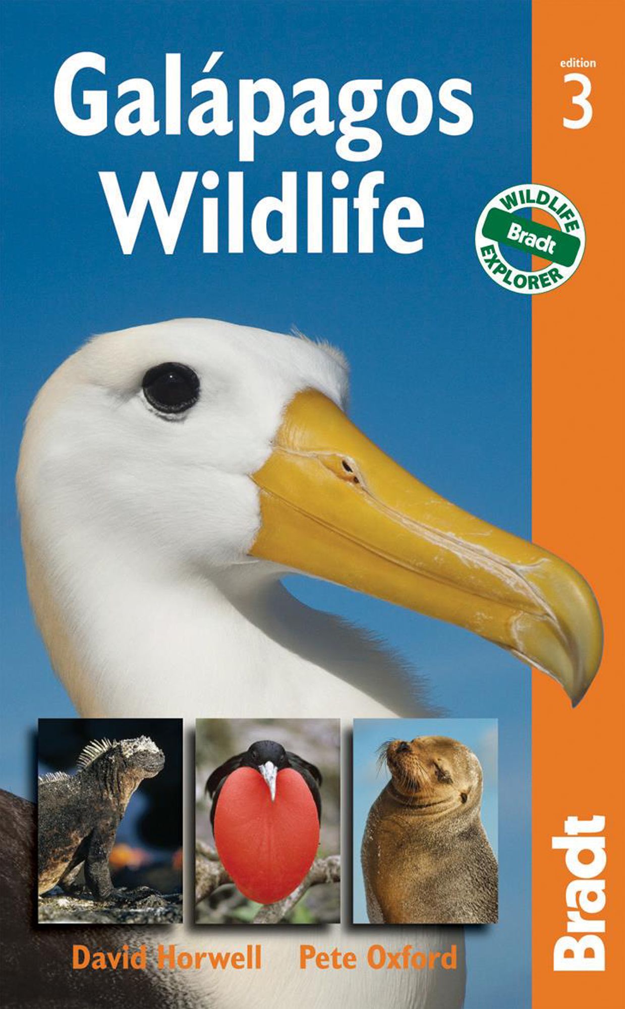 Galapagos Wildlife, 3rd