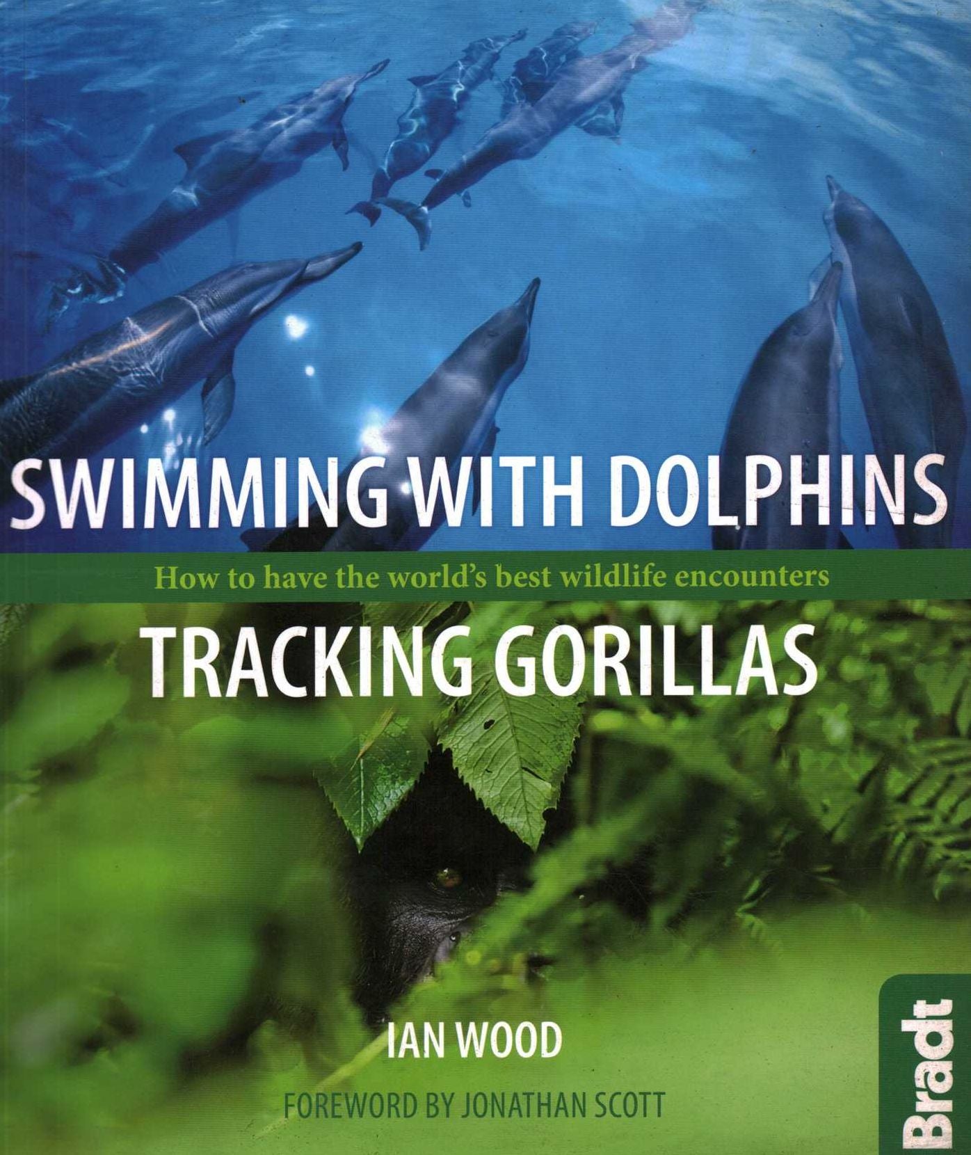 Swimming with Dolphins, Tracking Gorillas: How to have the world's best wildlife encounters