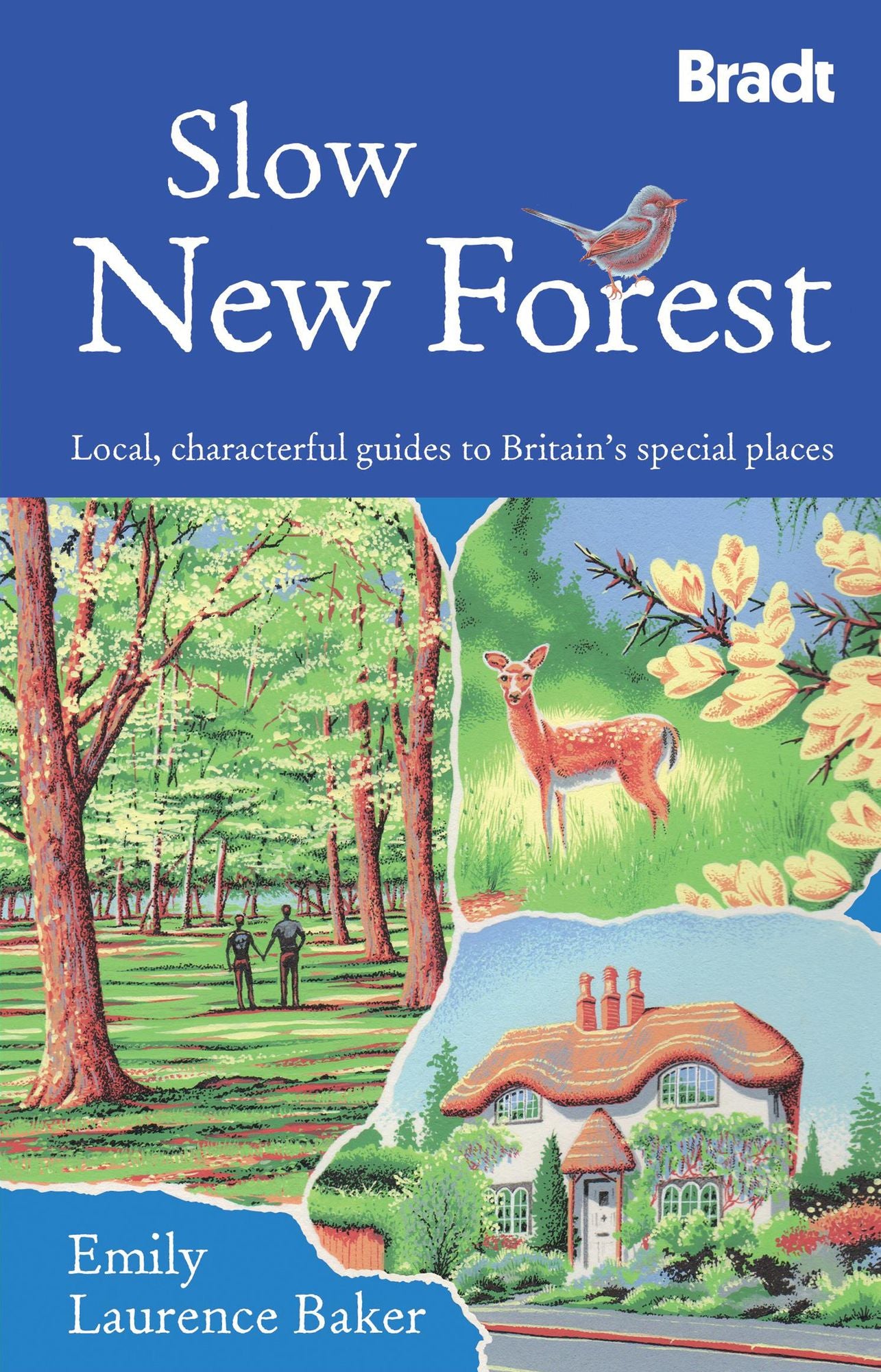 Slow New Forest