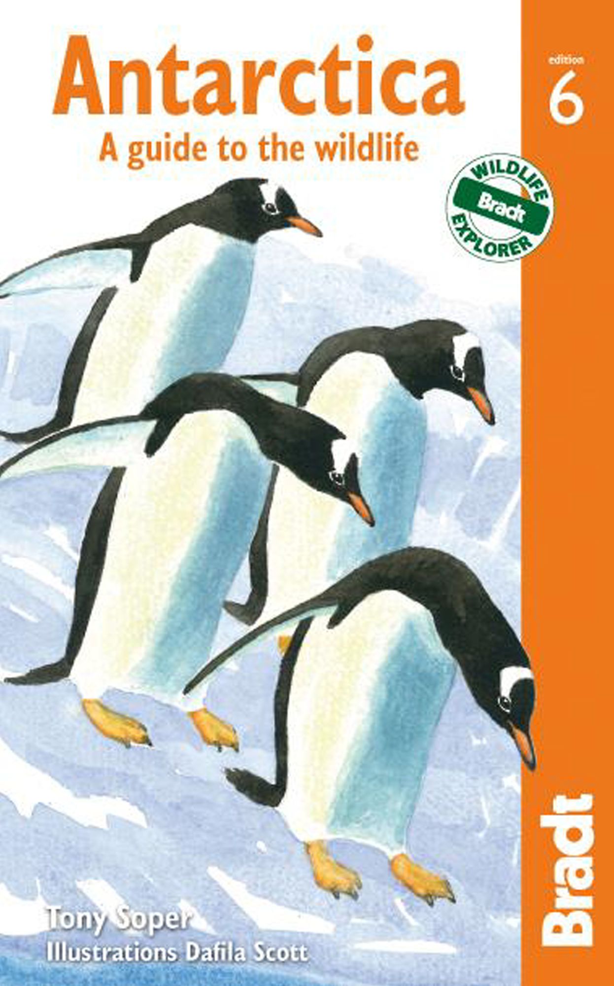 Antarctica, 6th: A Guide to the Wildlife