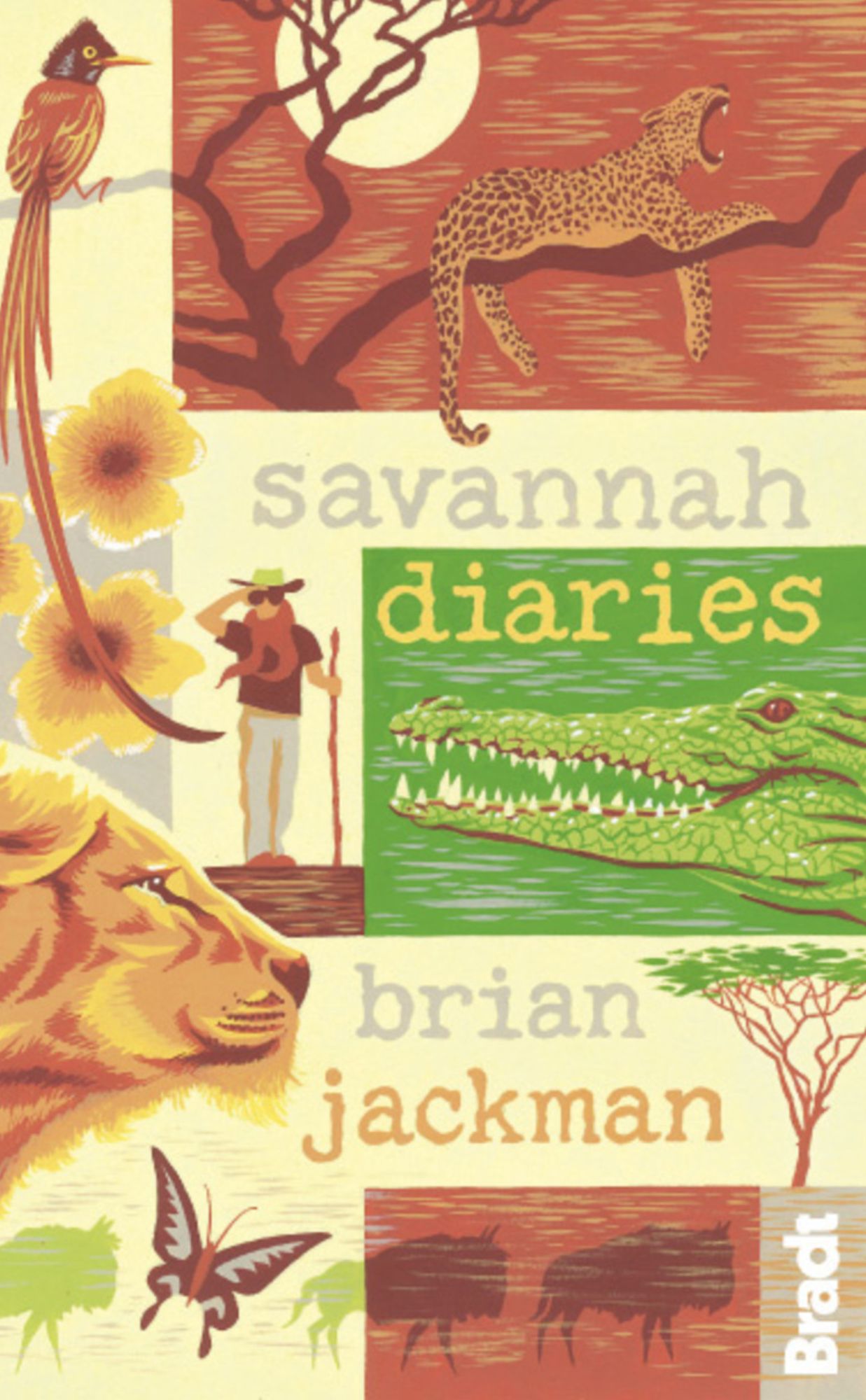 Savannah Diaries: A Celebration of Africa's Big Cat Country
