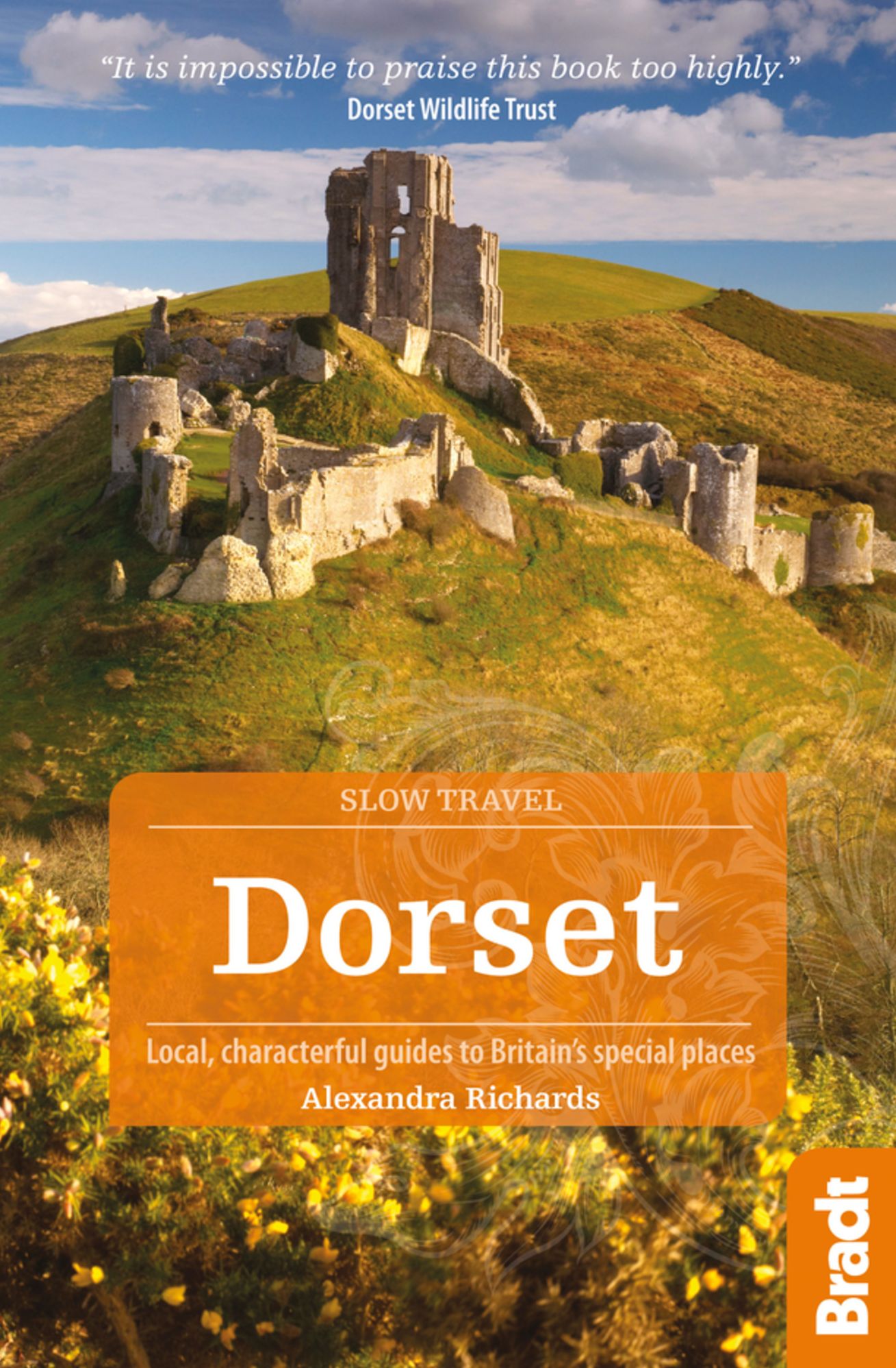 Dorset: Local, characterful guides to Britain's special places