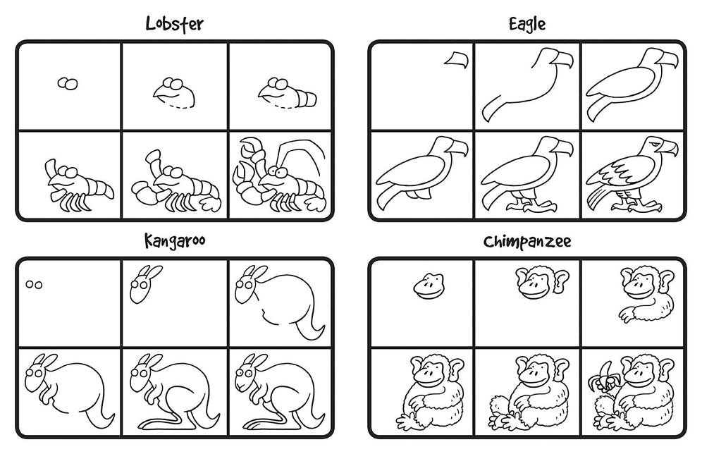 How to Draw 101 Animals