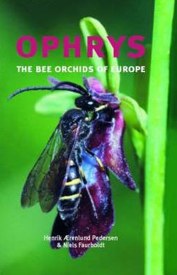 Ophrys - the bee orchids of Europe