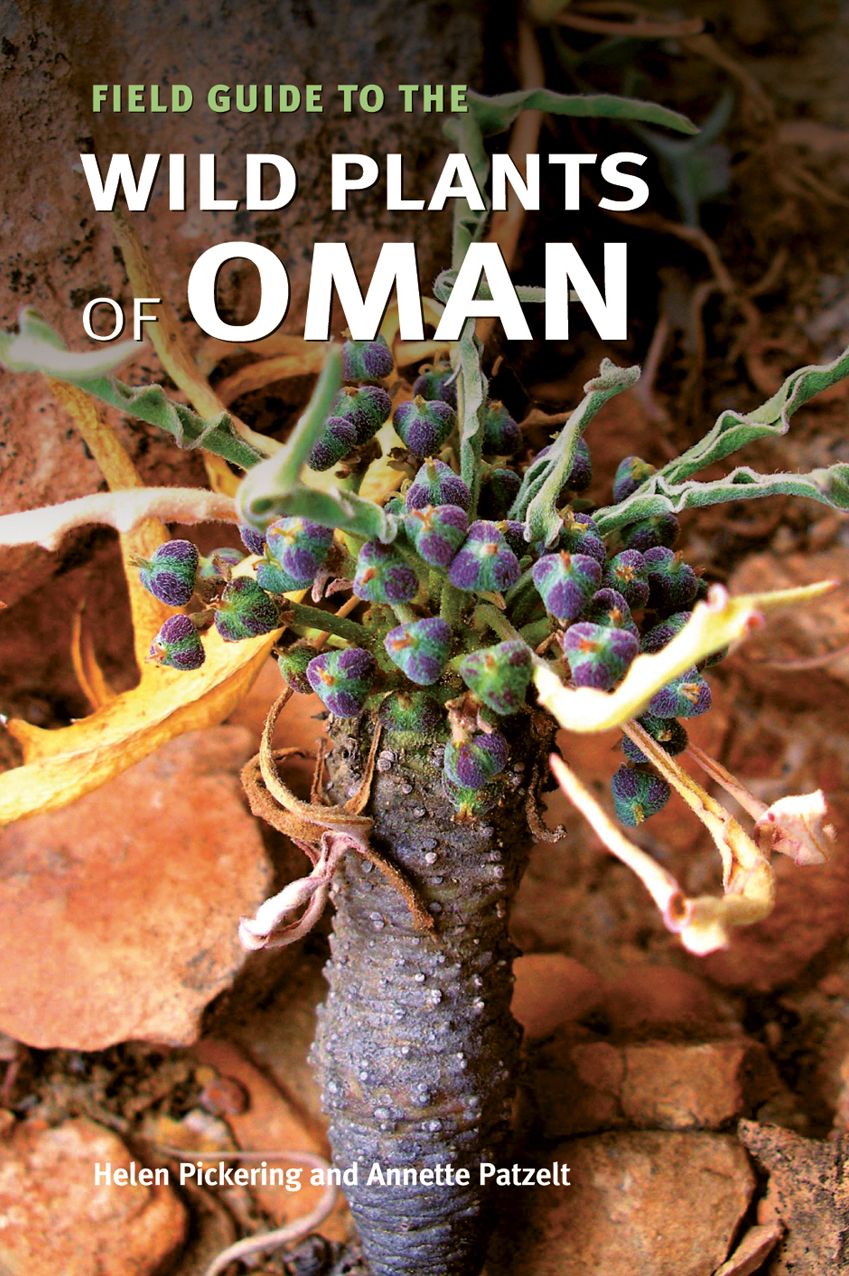Field Guide To The Wild Plants Of Oman