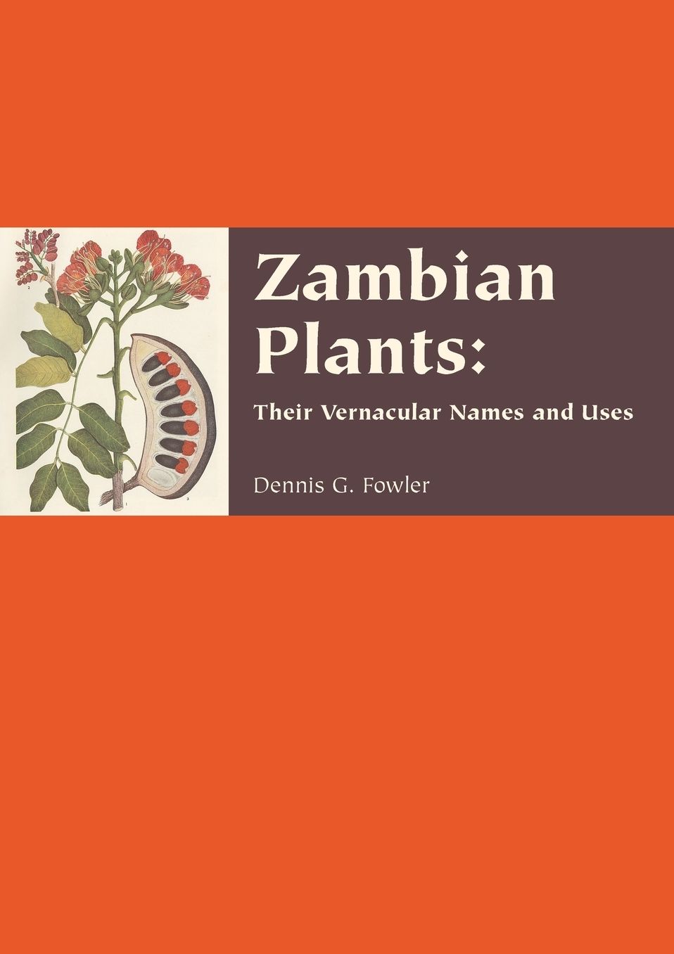 Zambian Plants: their vernacular names and uses