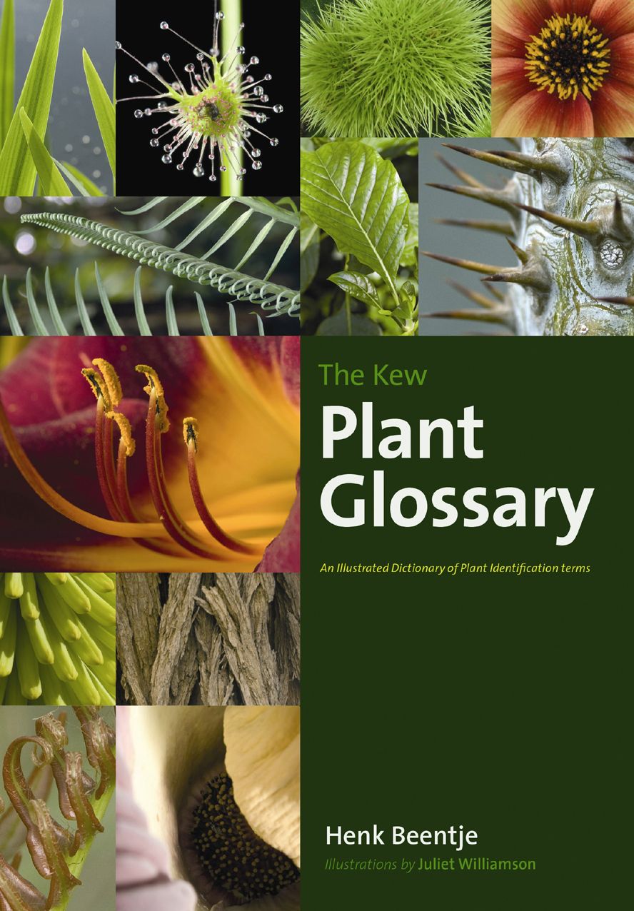 The Kew Plant Glossary: An Illustrated Dictionary of Plant Identification Terms