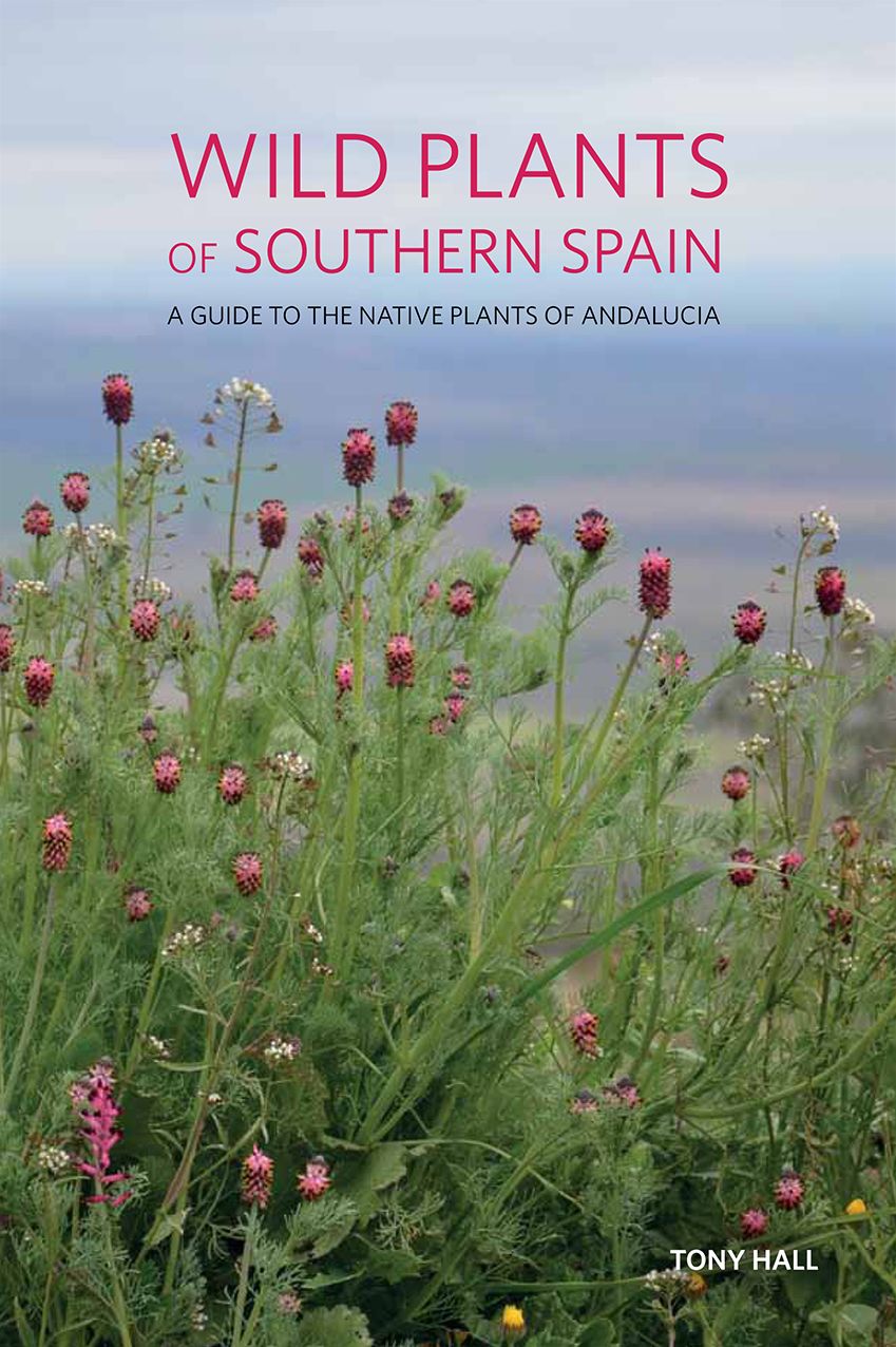 Wild Plants of Southern Spain: A Guide to the Native Plants of Andalucia