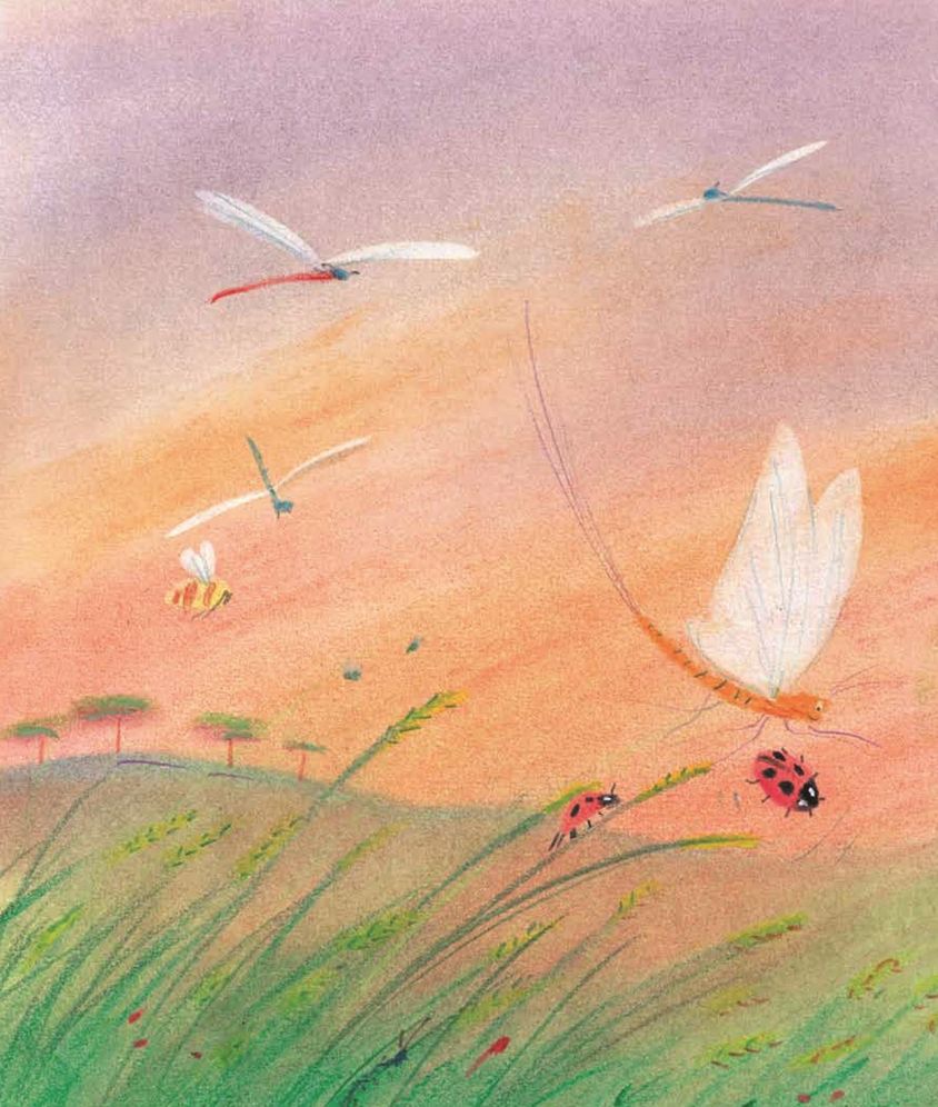 Mayfly Day