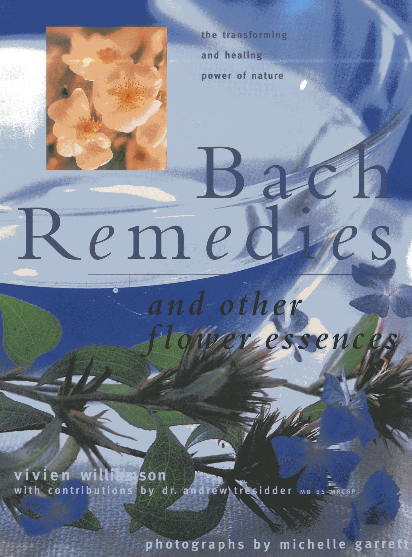 Bach Remedies And Other Flower Essences: Essential Insights Into Healing And Transformation