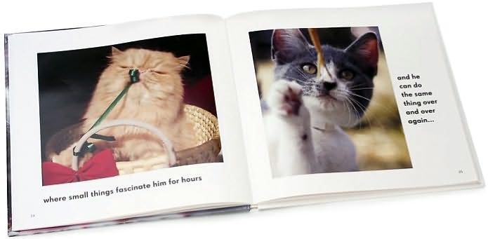 All Cats Have Asperger Syndrome