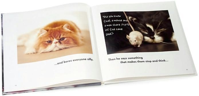 All Cats Have Asperger Syndrome
