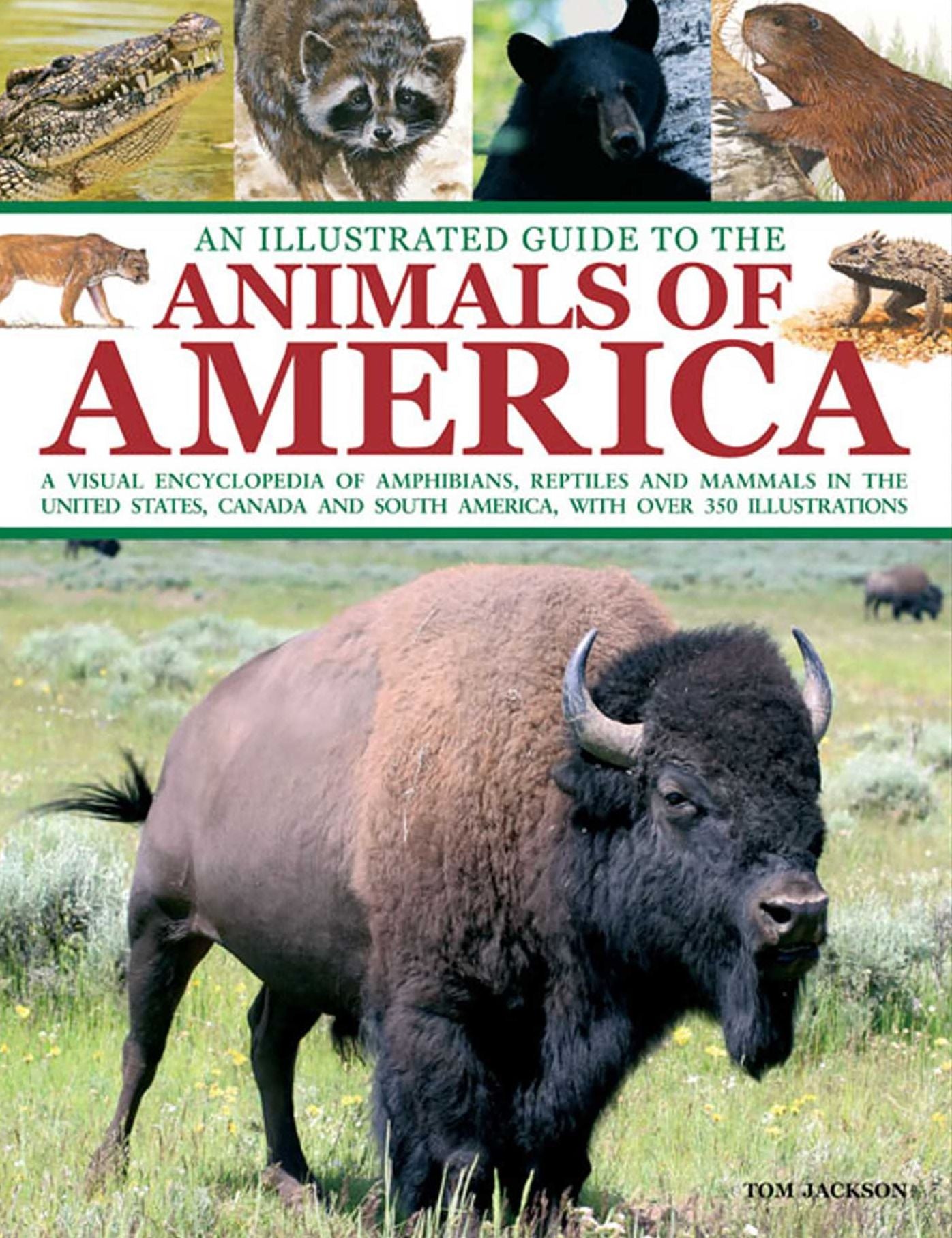 An Illustrated Guide To The Animals of America: A visual encyclopedia of amphibians, reptiles and mammals in the United States, Canada and South America, with over 350 illustrations