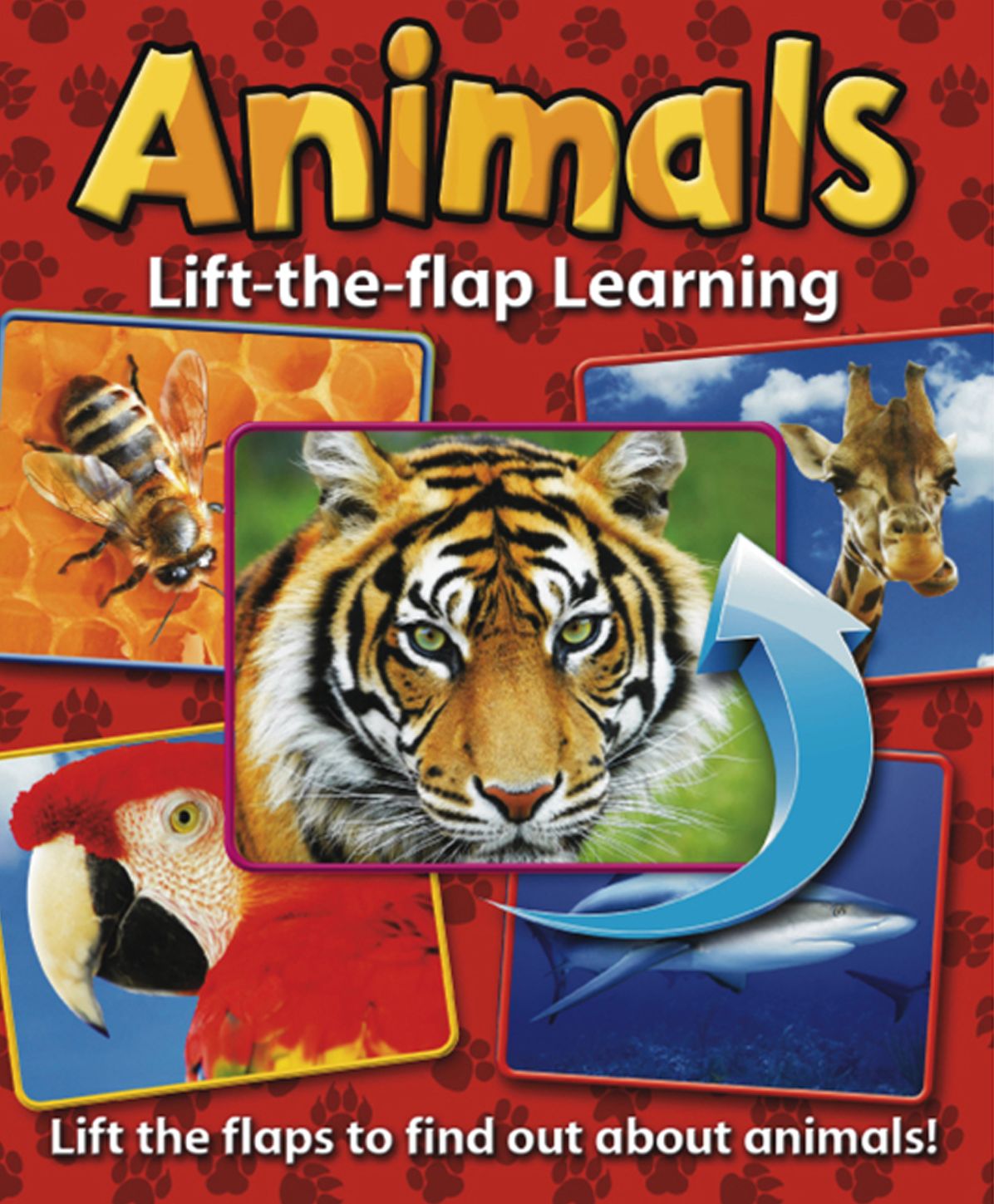 Lift-the-Flap Learning: Animals: Lift the Flaps to Find Out About Animals!