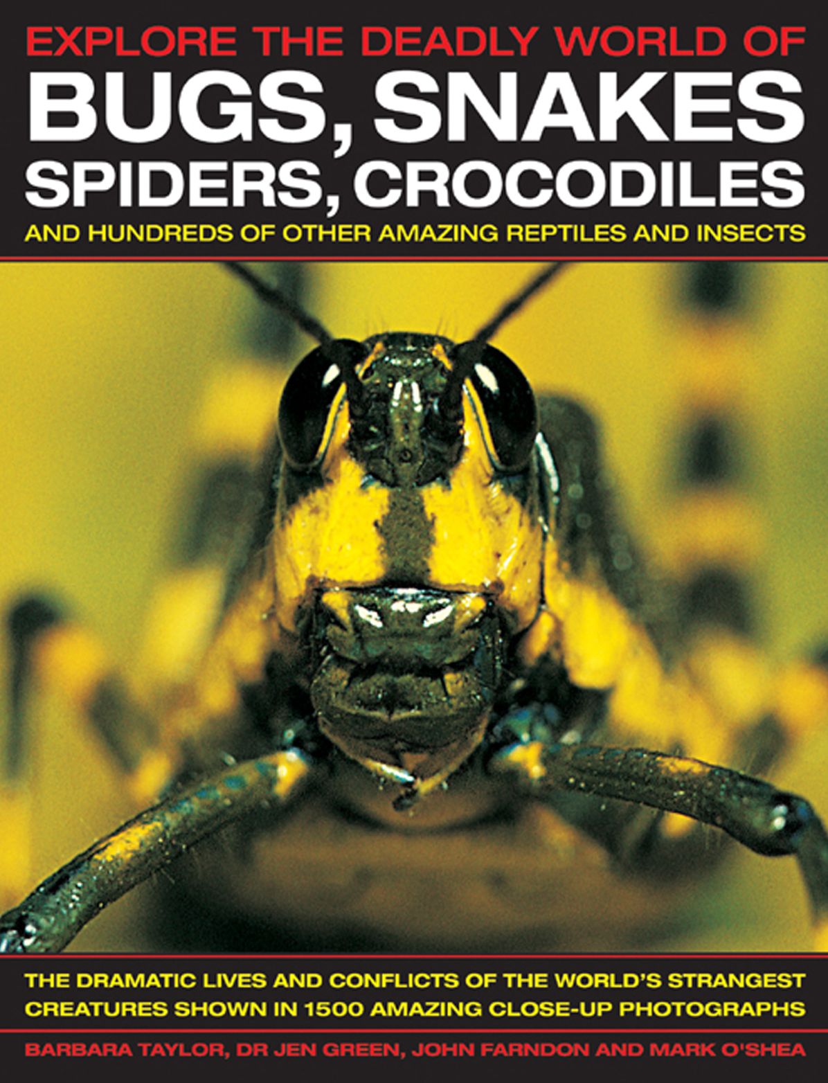 Explore The Deadly World of Bugs, Snakes, Spiders, Crocodiles: The dramatic lives and conflicts of the world's strangest creatures shown in 1500 amazing close-up photographs