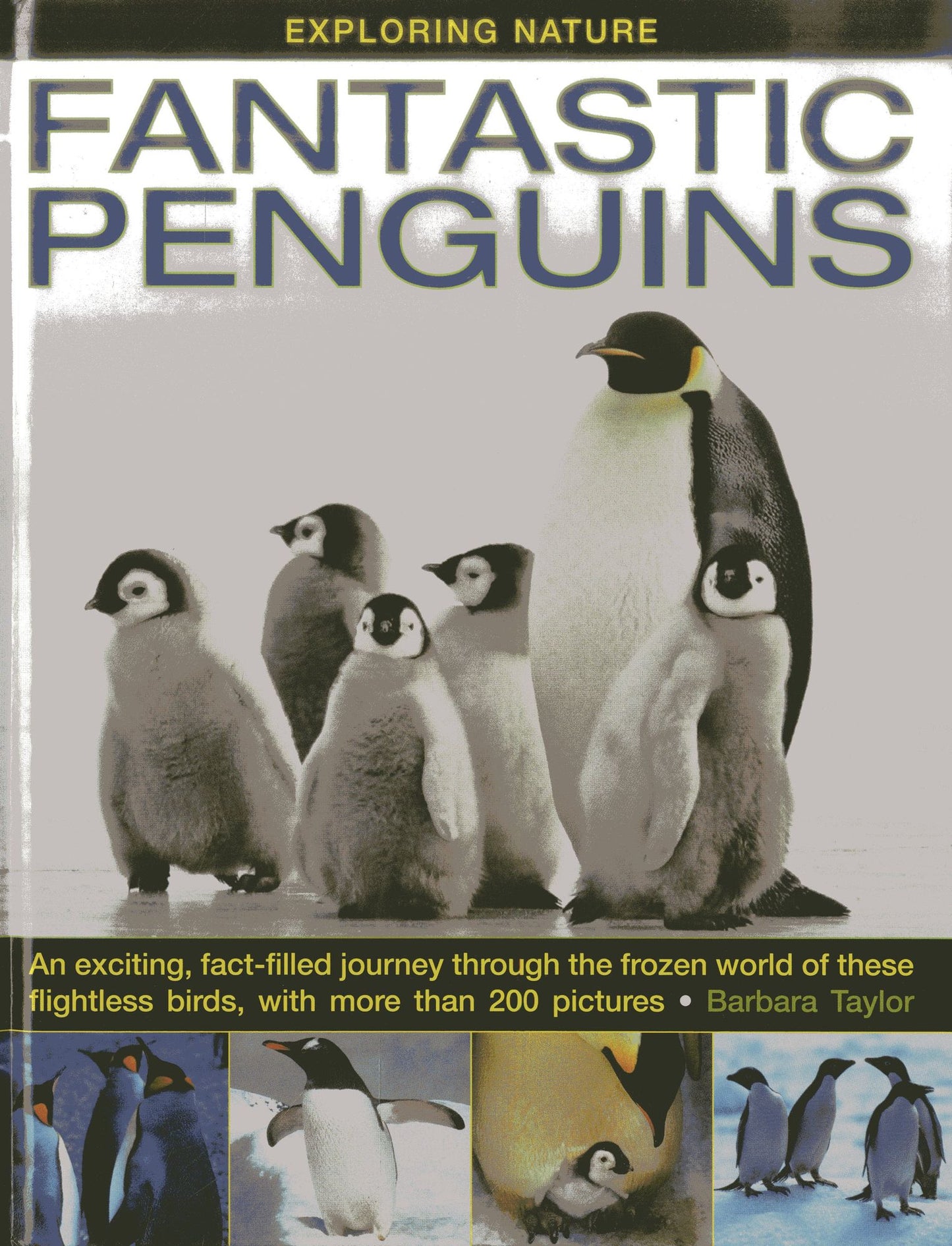 Exploring Nature: Fantastic Penguins: An Exciting, Fact-Filled Journey Through the Frozen World of These Flightless Birds, with More than 200 Pictures