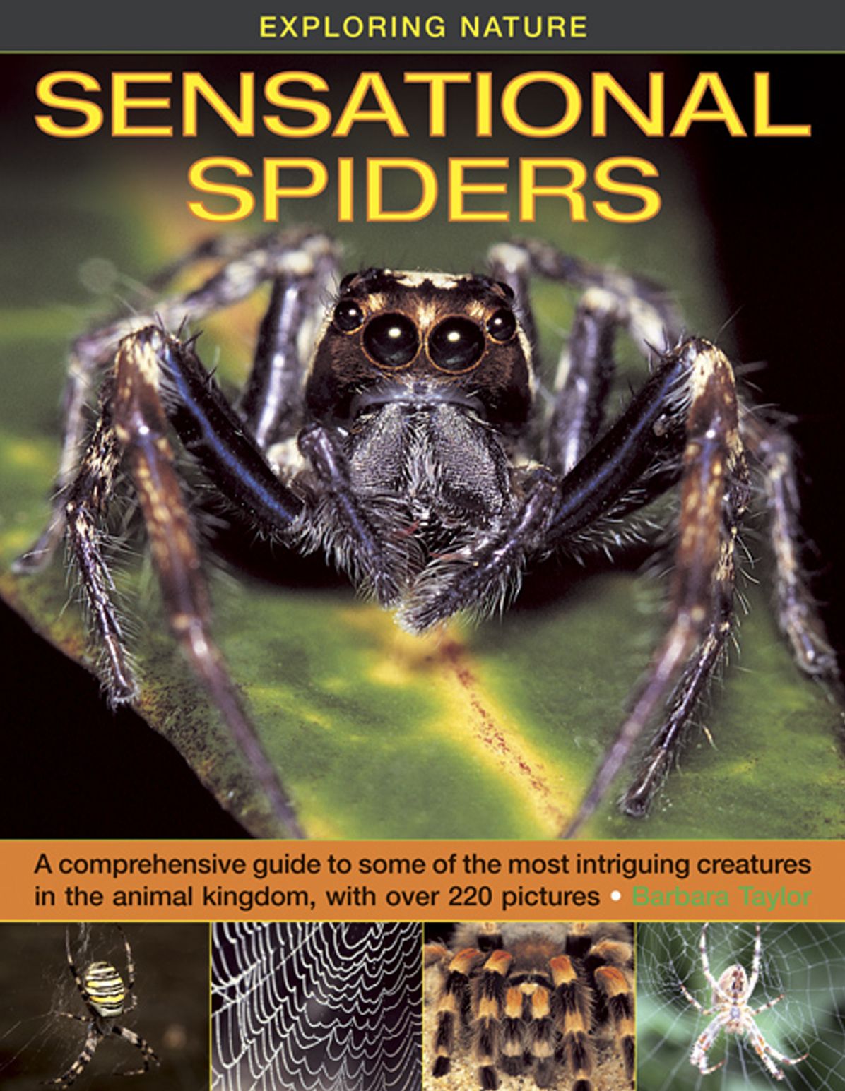 Exploring Nature: Sensational Spiders: A comprehensive guide to some of the most intriguing creatures in the animal kingdom, with over 220 pictures