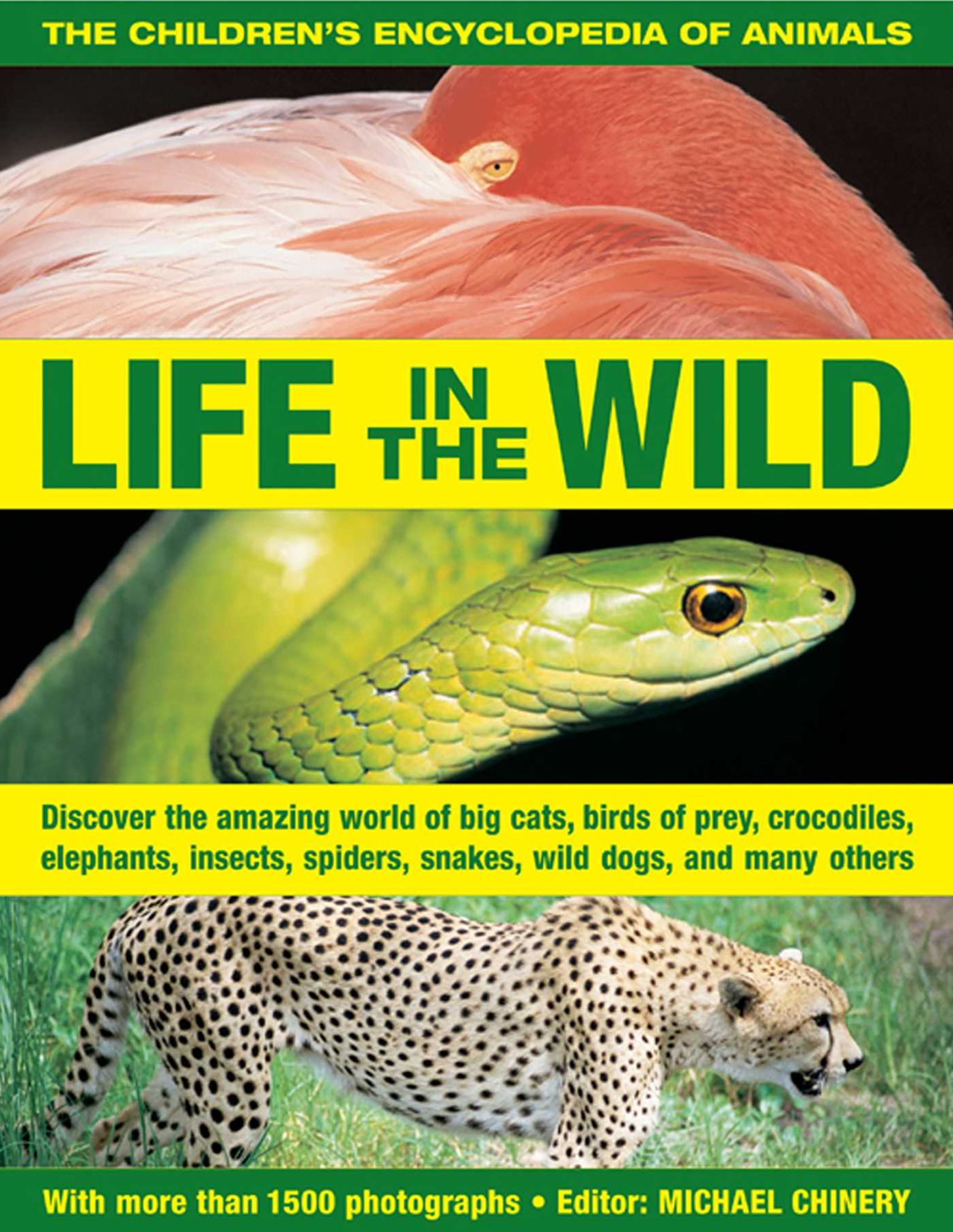 The Children's Encyclopedia of Animals: Life In The Wild: Discover the amazing world of big cats, birds of prey, crocodiles, elephants, insects, spiders, snakes, wild dogs and many others