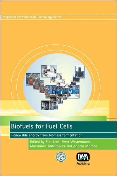 Biofuels For Fuel Cells
