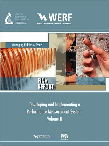 Developing And Implementing A Performance Measurement System
