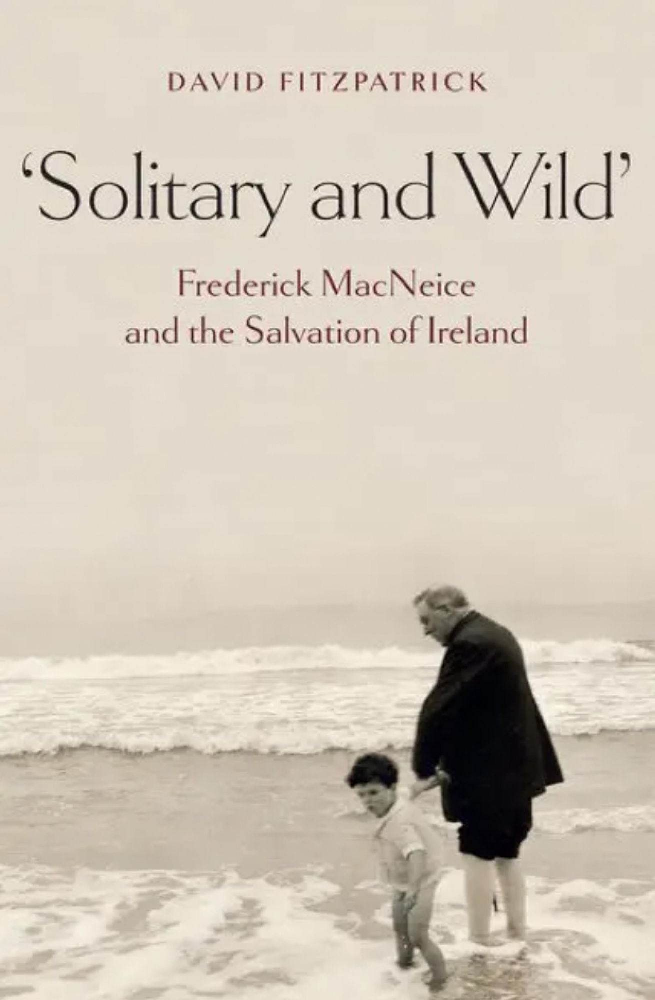 Solitary and Wild': Frederick MacNeice and the Salvation of Ireland