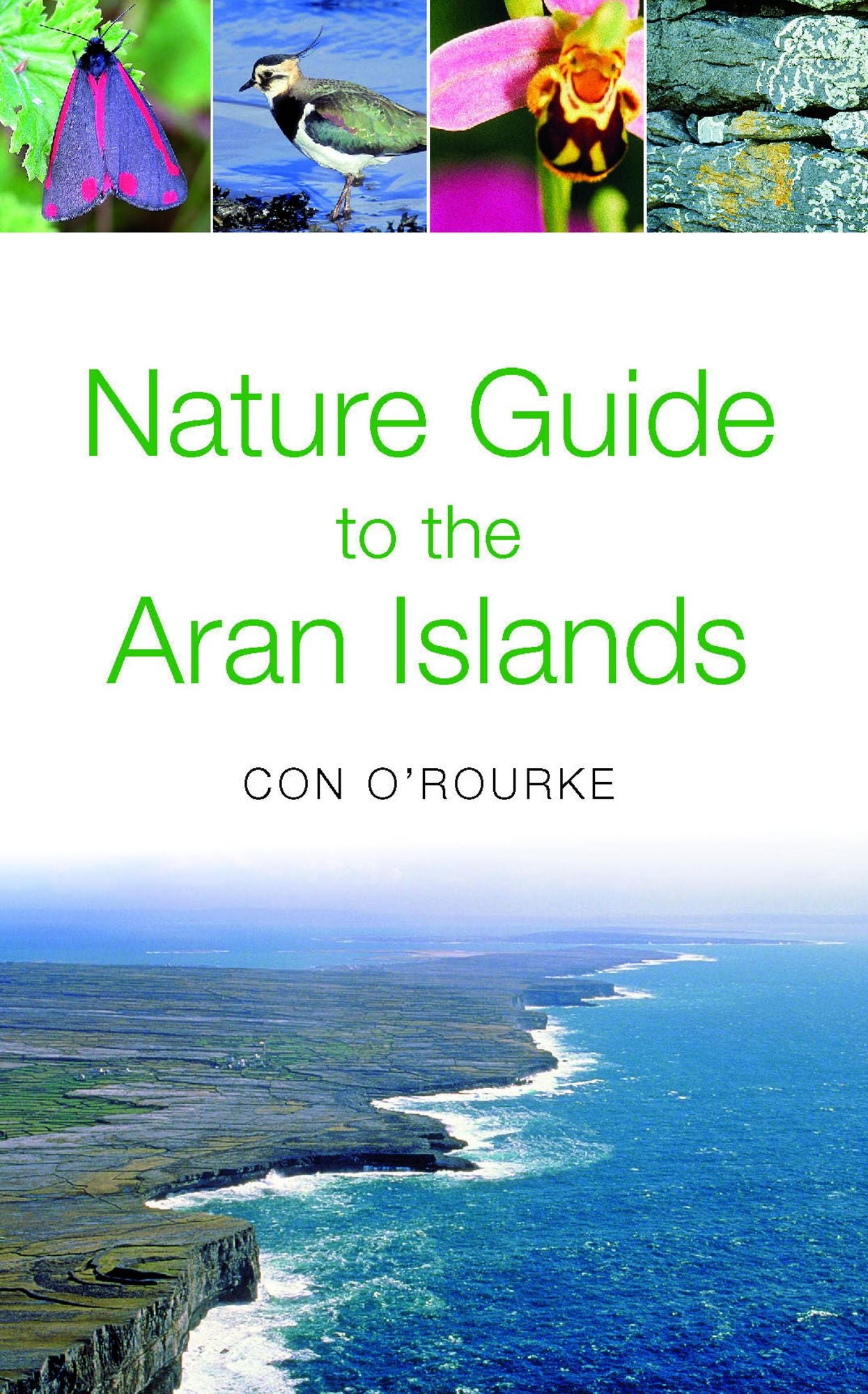 Nature Guide to the Aran Islands