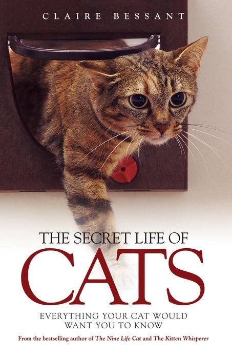 The Secret Life of Cats: Everything You Cat Would Want You to Know