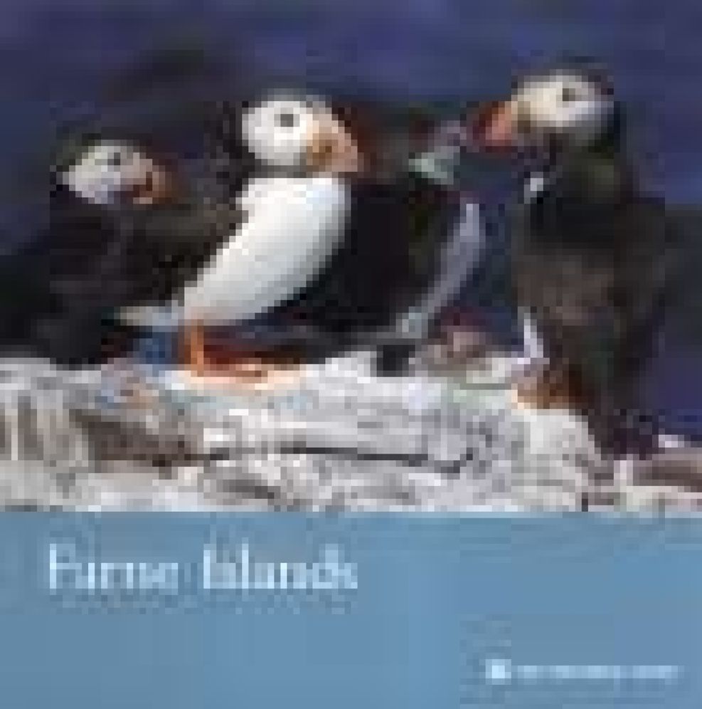 Farne Islands (Northumberland)