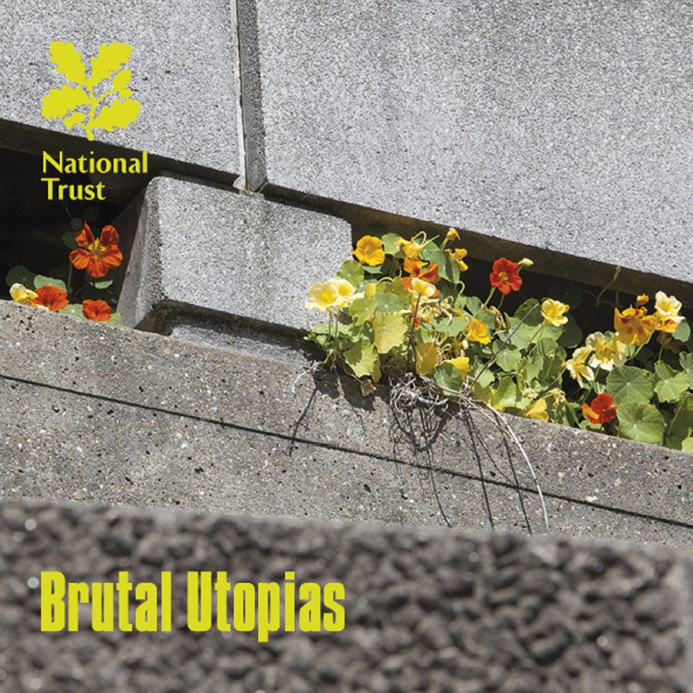 Brutal Utopias