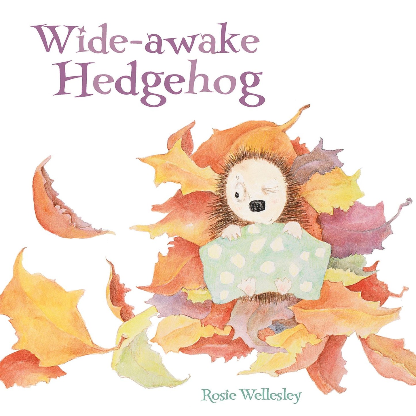 The Wide Awake Hedgehog