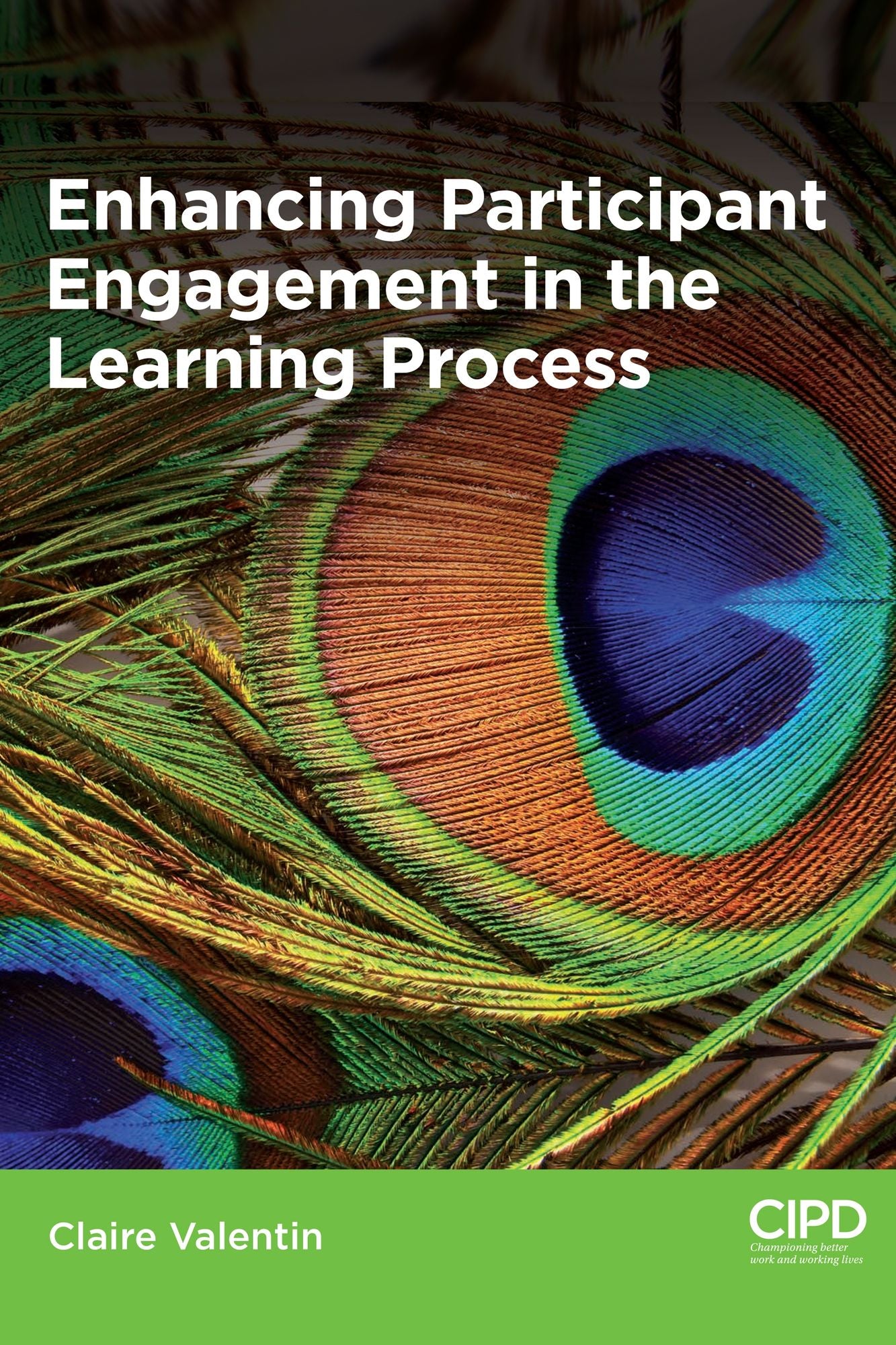 Enhancing Participant Engagement in the Learning Process