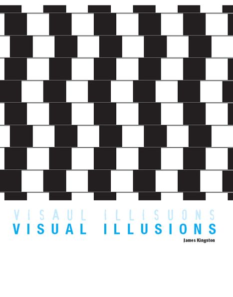 Visual Illusions