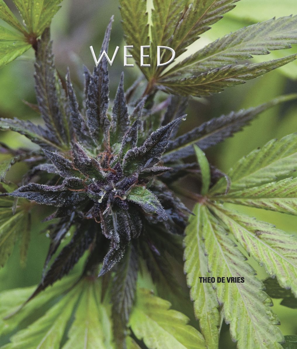 Weed