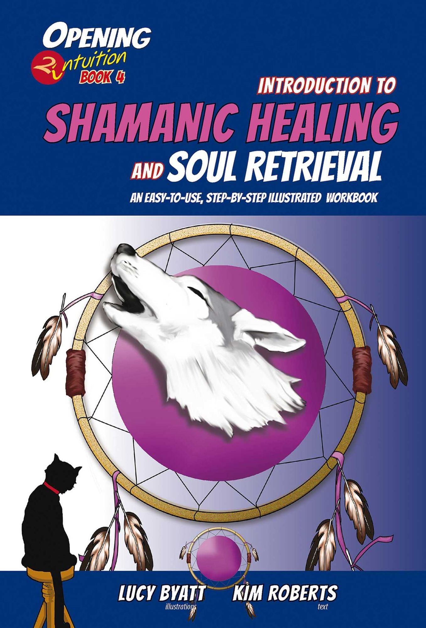 Introduction to Shamanic Healing & Soul Retrieval: An Easy-to-Use, Step-by-Step Illustrated Guidebook