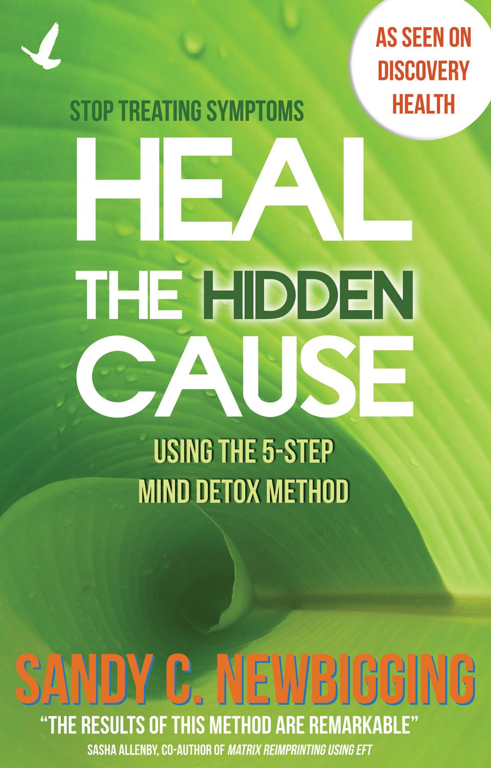 Heal the Hidden Cause: Using the 5-Step Mind Detox Method