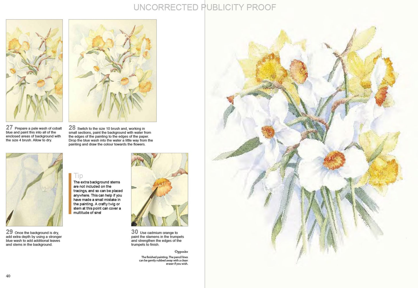 Watercolour Flowers