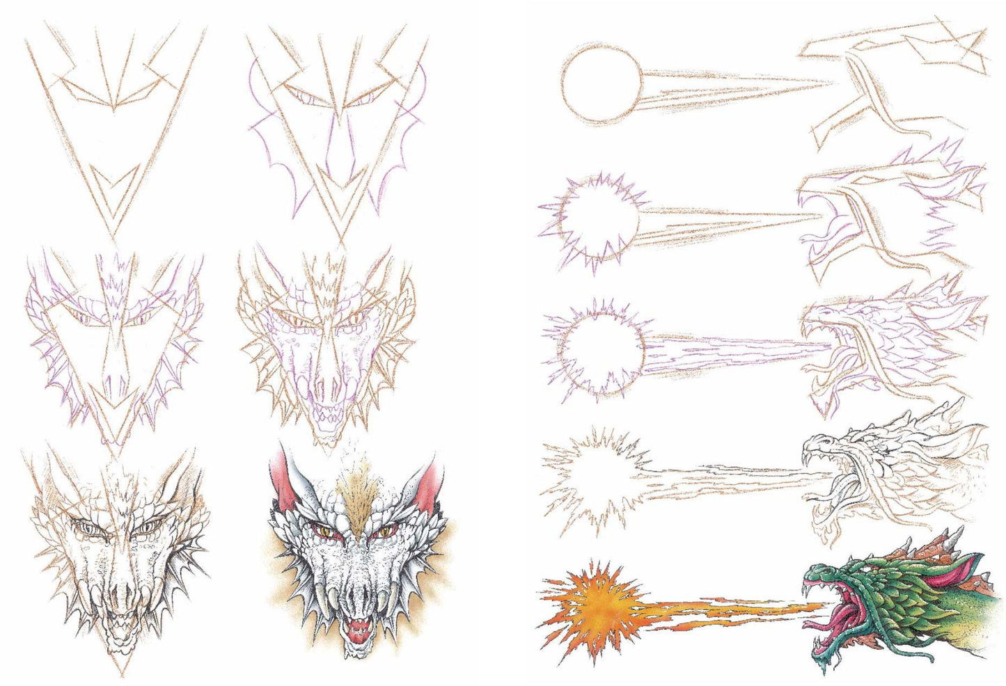 Dragons