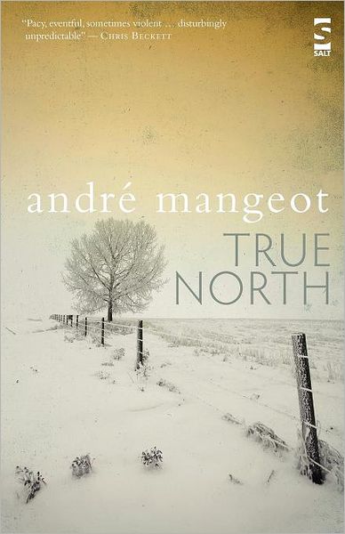 True North
