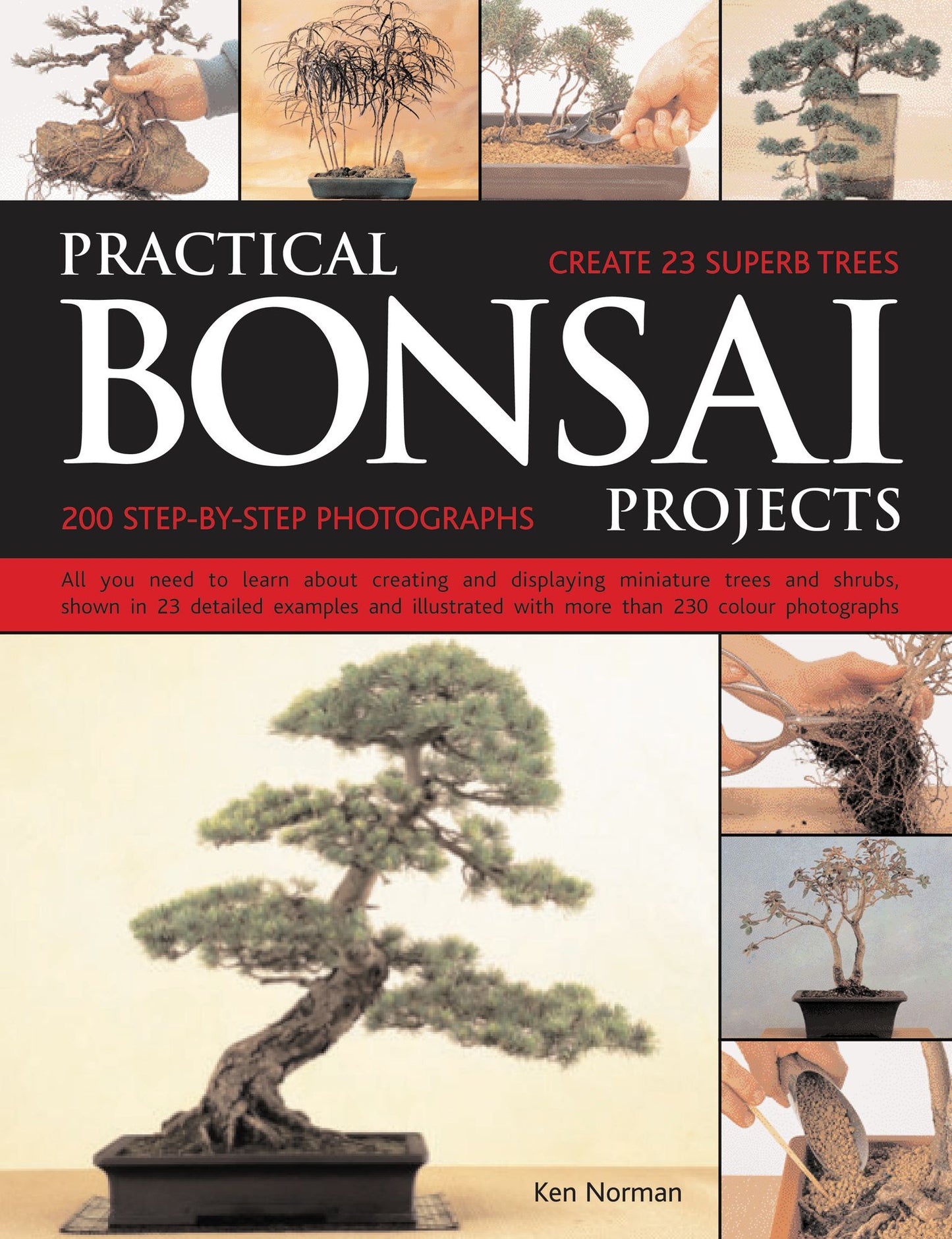Practical Bonsai Projects: Create 20 Superb Trees Step-by-Step: All you need to learn about creating and displaying miniature trees and shrubs, shown in over 20 detailed examples and illustrated with more than 300 color photographs
