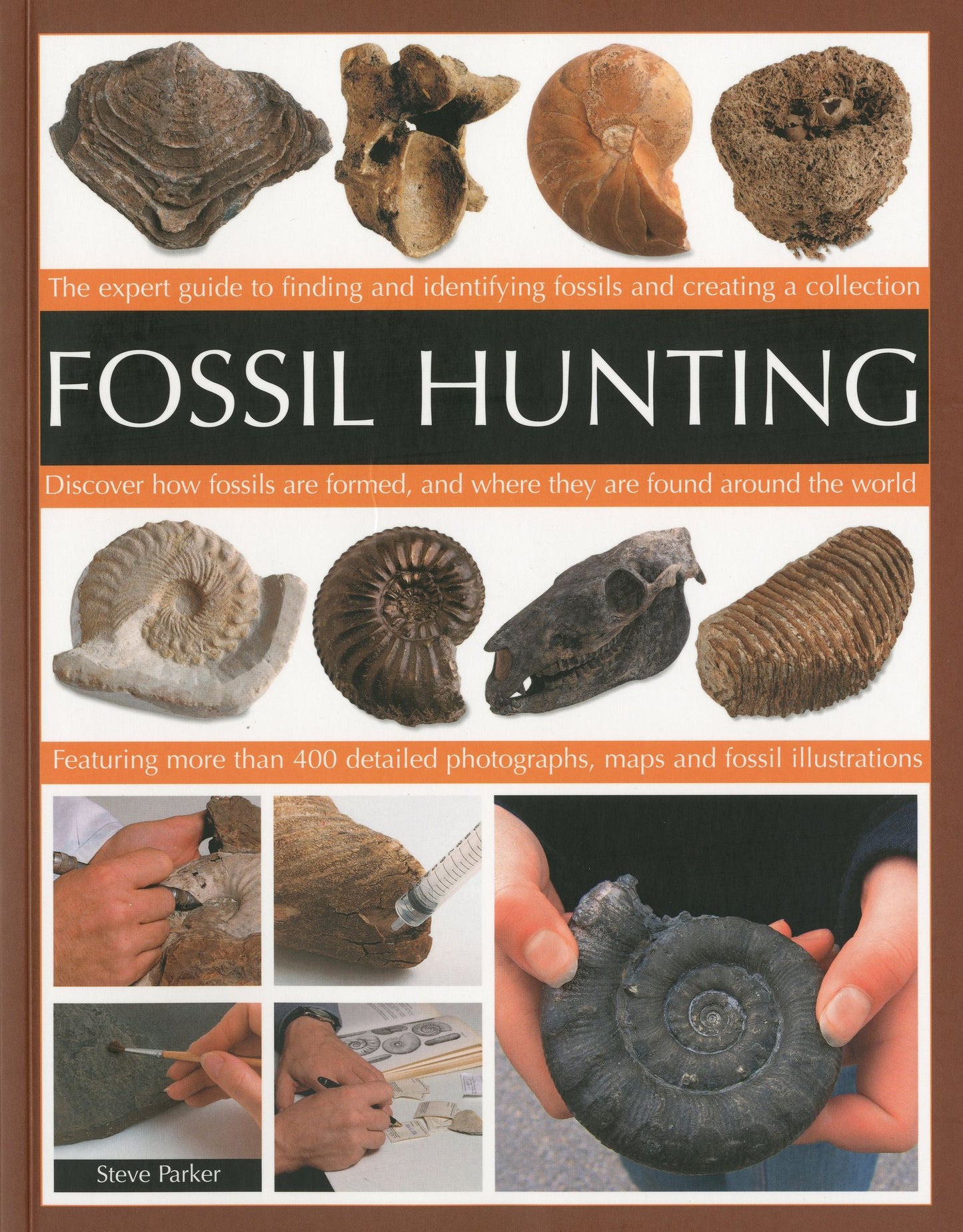 Fossil Hunting: An Expert Guide to Finding, and Identifying Fossils and Creating a Collection