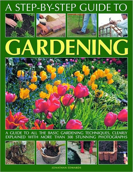 A Step-by-Step Guide to Gardening