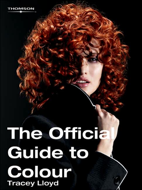 The Colour Book: The Official Guide to Colour for NVQ Levels 2 and 3