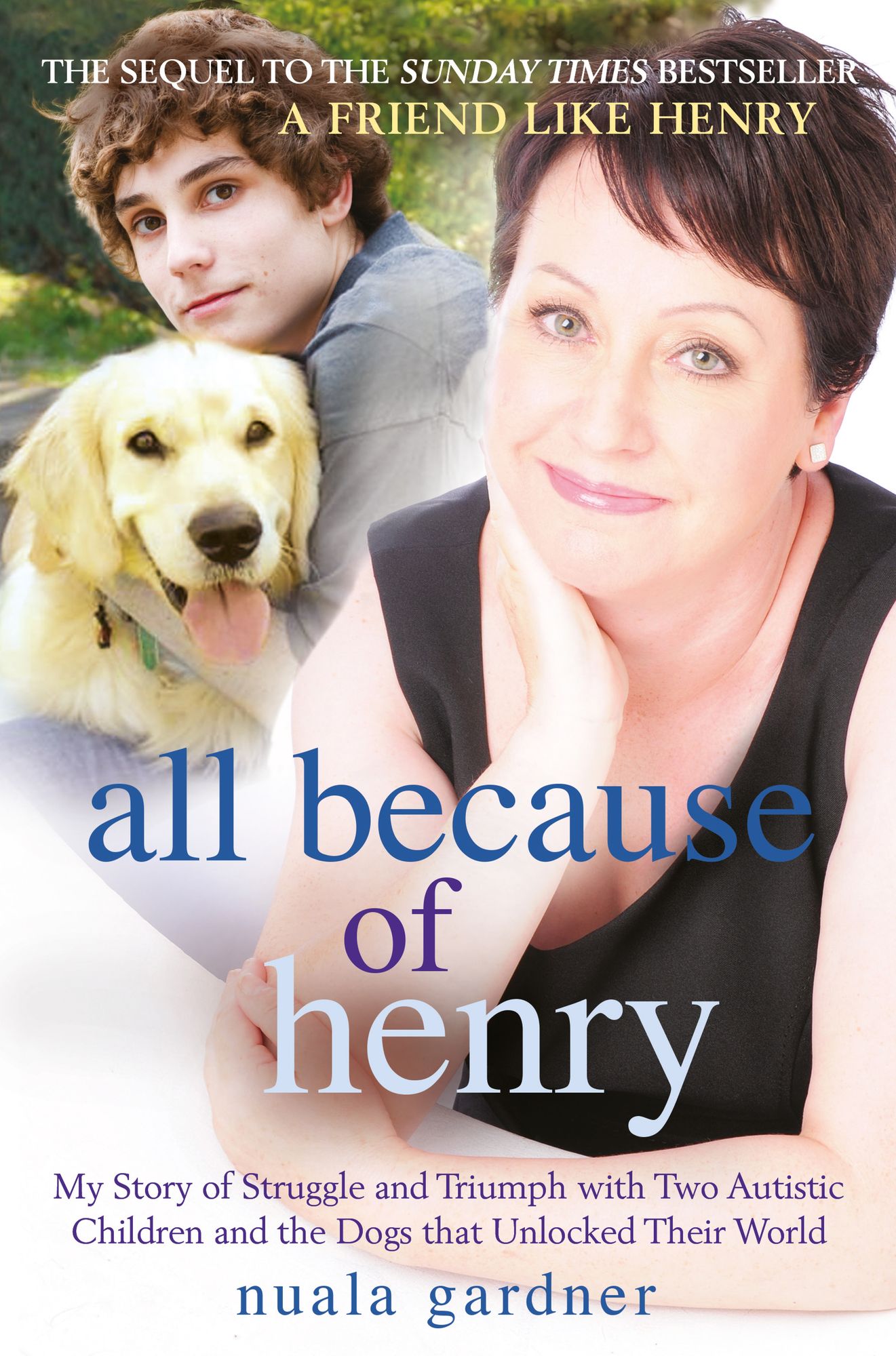 All Because of Henry: My Story of Struggle and Triumph with Two Autistic Children and the Dogs that Unlocked their World