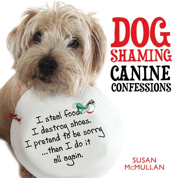 Dog Shaming: Canine Confessions